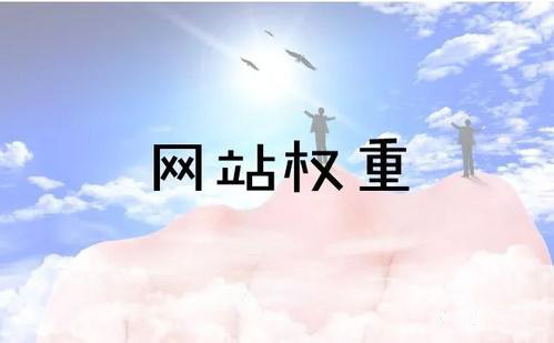 關(guān)于SEO優(yōu)化種的網(wǎng)站權(quán)重