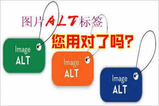 [浙江SEO]圖片的alt標(biāo)簽起到什么作用